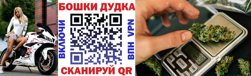 Каннабис планчик  магазин    Сосновый Бор 